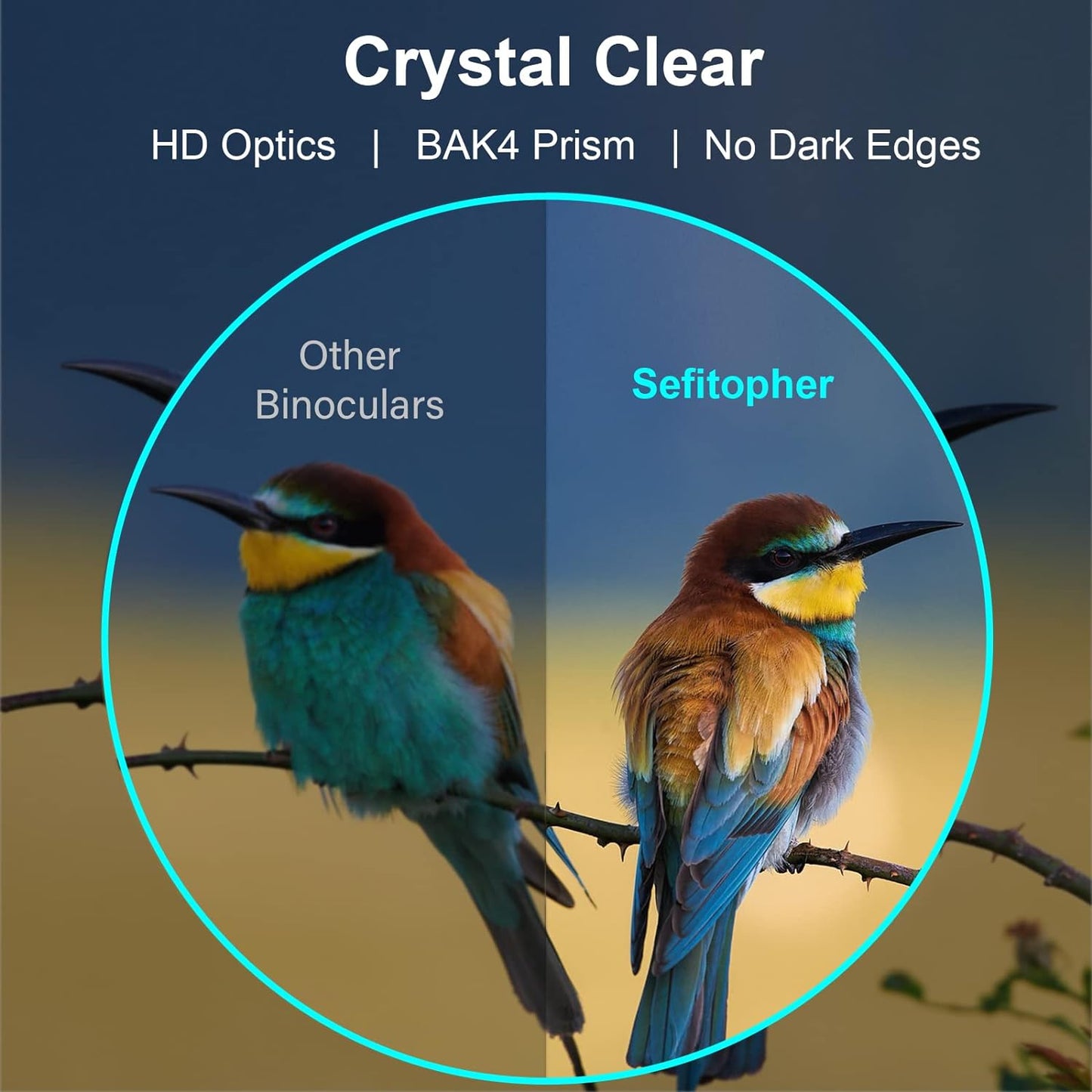 Binoculares Profesionales Gran Alcance Con Estuche Y Soporte