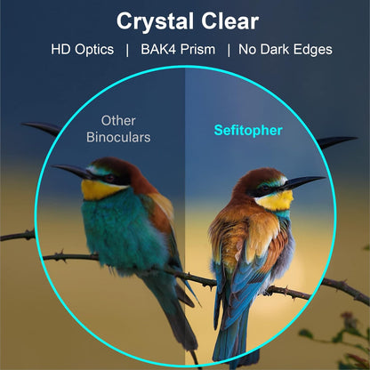 Binoculares Profesionales Gran Alcance Con Estuche Y Soporte