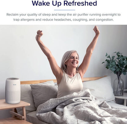 Filtro Purificador De Aire Levoit Difusor Importado Usa 15m2